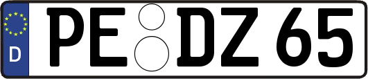 PE-DZ65