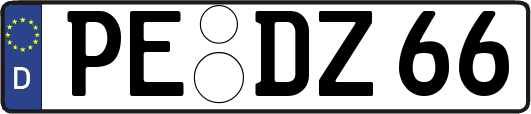 PE-DZ66