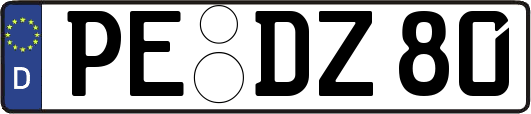 PE-DZ80