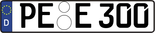 PE-E300