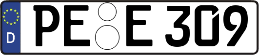 PE-E309