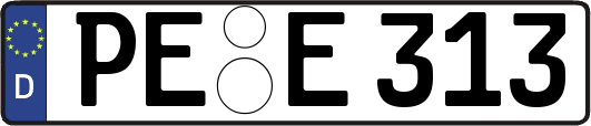 PE-E313