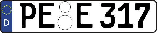 PE-E317