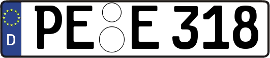 PE-E318