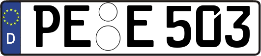 PE-E503