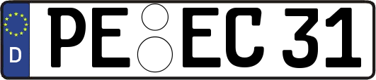 PE-EC31