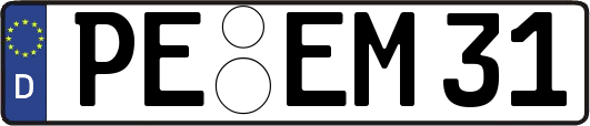 PE-EM31