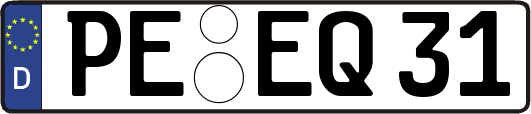 PE-EQ31