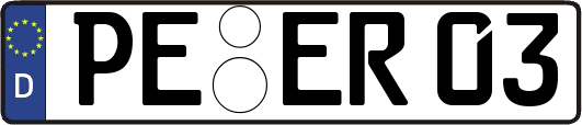 PE-ER03