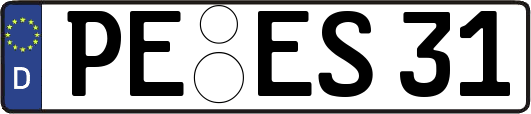 PE-ES31
