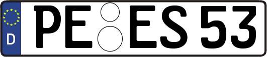 PE-ES53