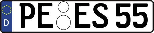 PE-ES55