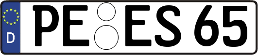 PE-ES65