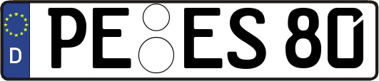 PE-ES80