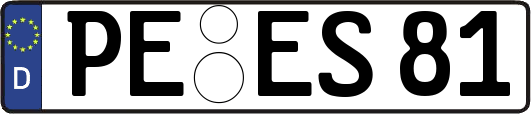 PE-ES81