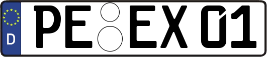 PE-EX01
