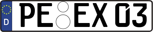 PE-EX03