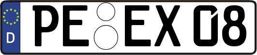 PE-EX08