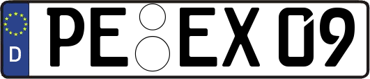 PE-EX09