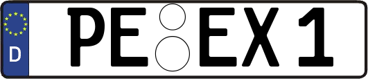 PE-EX1