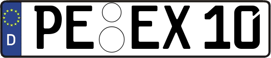 PE-EX10