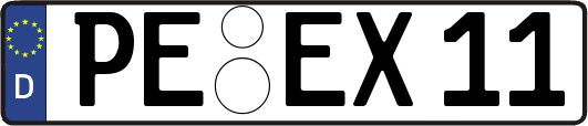 PE-EX11