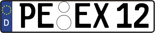 PE-EX12