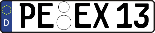 PE-EX13