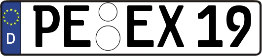 PE-EX19