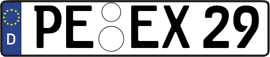 PE-EX29