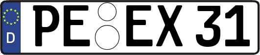 PE-EX31