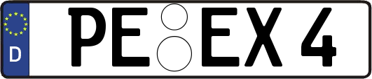 PE-EX4