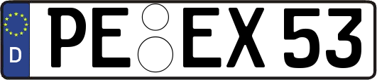 PE-EX53