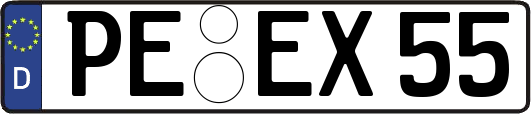 PE-EX55