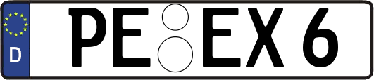 PE-EX6