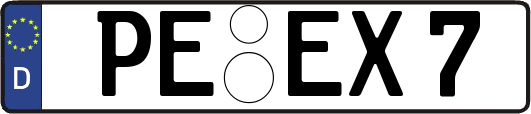 PE-EX7