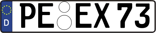 PE-EX73