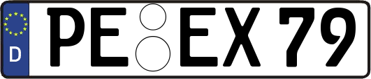 PE-EX79