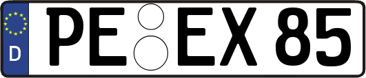 PE-EX85