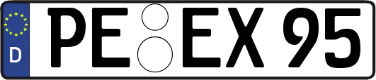 PE-EX95