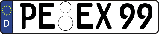 PE-EX99
