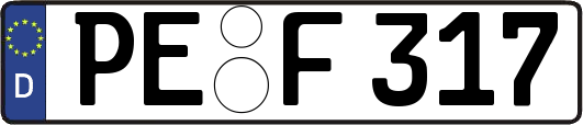 PE-F317