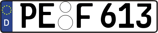 PE-F613