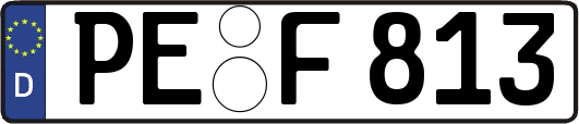 PE-F813