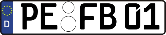 PE-FB01