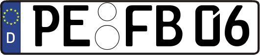 PE-FB06