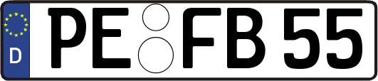 PE-FB55