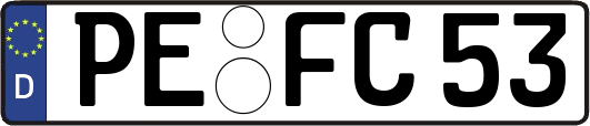 PE-FC53