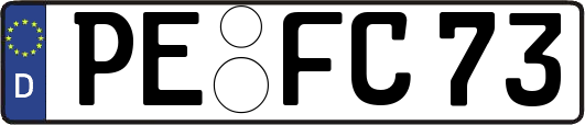 PE-FC73