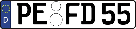 PE-FD55